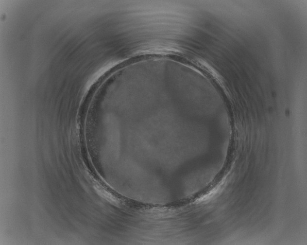 X0000068770779200605011026