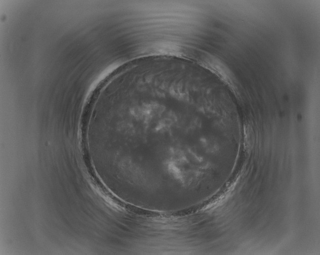 X0000068770780200605011026