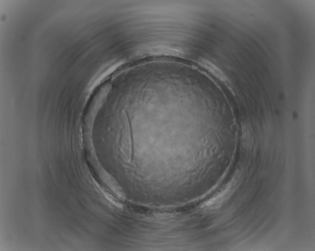 X0000068770782200605011026