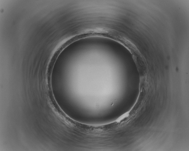 X0000068770784200605011026