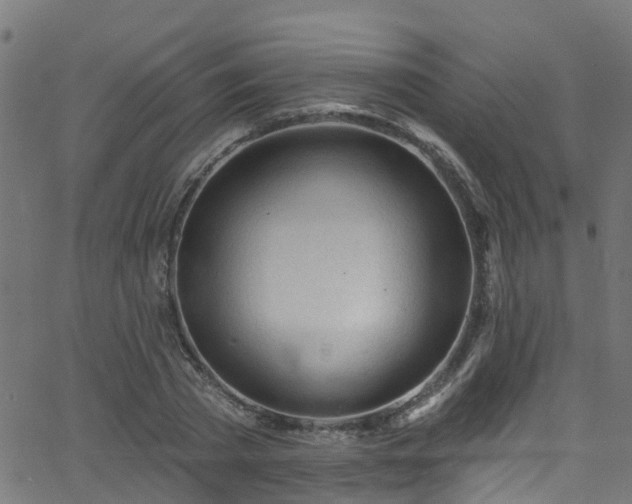 X0000068770785200605011026