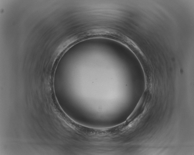 X0000068770786200605011026