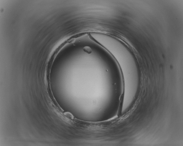 X0000068770788200605011026