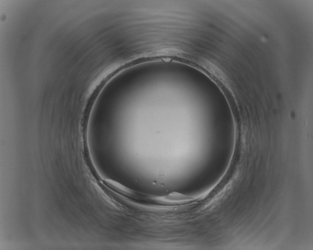 X0000068770789200605011026