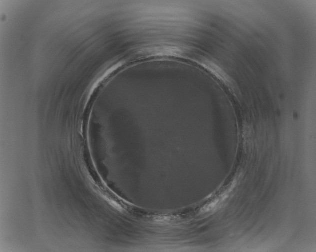 X0000068770790200605011026