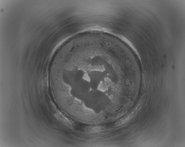 X0000068770791200605011026