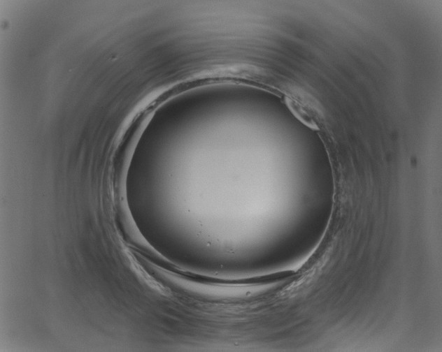 X0000068770792200605011026