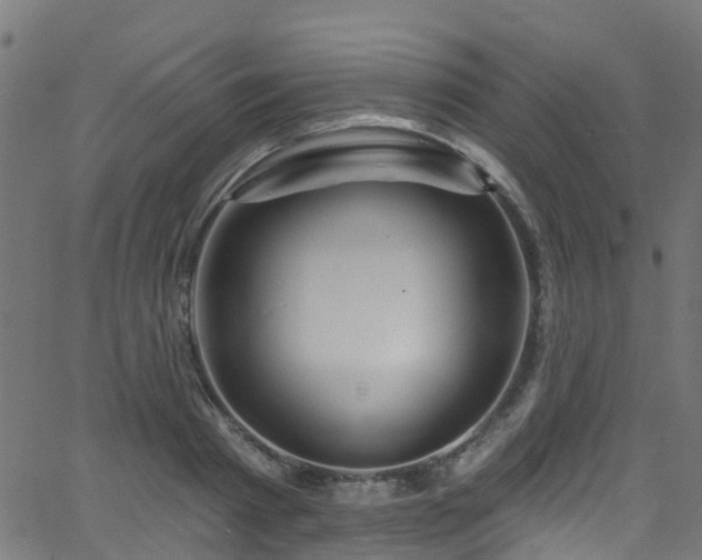 X0000068770793200605011026