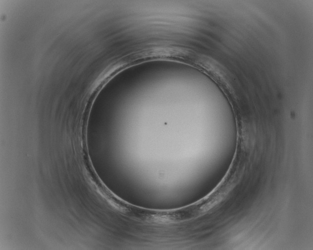 X0000068770794200605011026