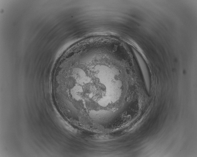 X0000068770795200605011026