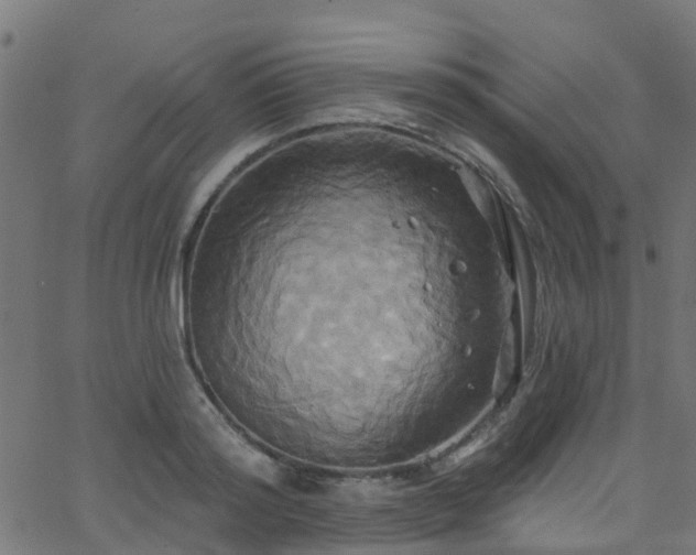 X0000068770796200605011026