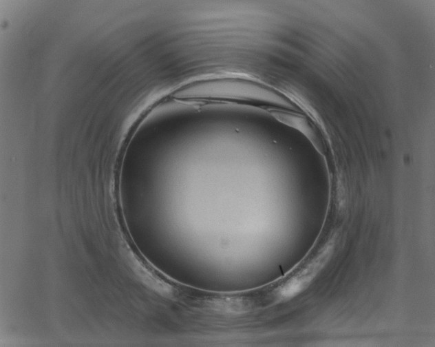 X0000068770797200605011026