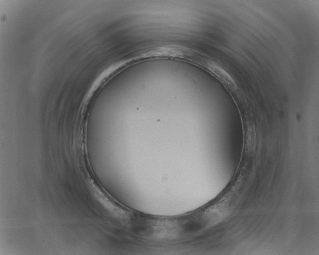 X0000068770800200605011026