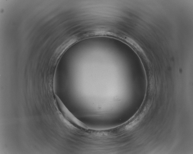 X0000068770801200605011026