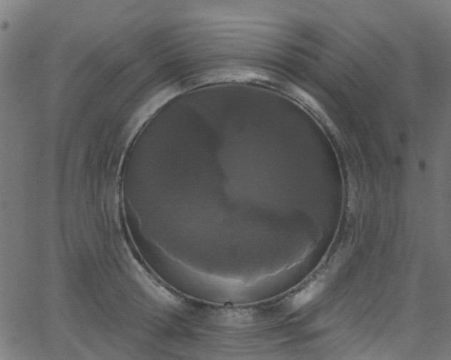 X0000068770802200605011025