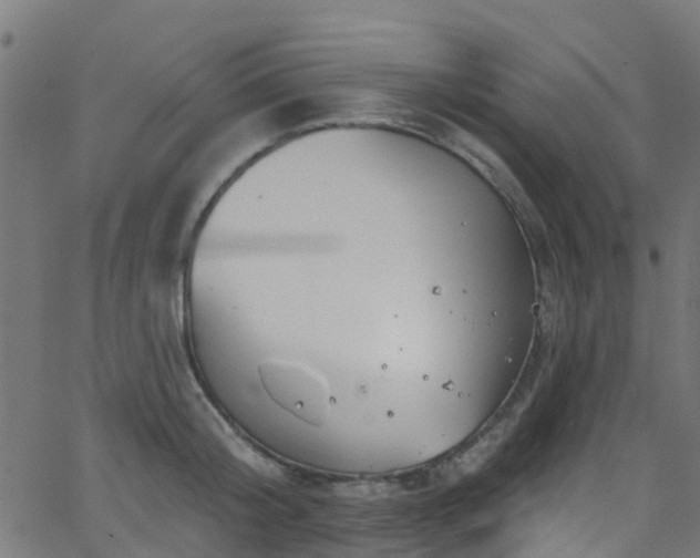 X0000068770804200605011025