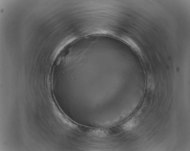 X0000068770806200605011025