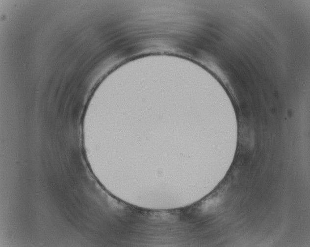 X0000068770807200605011025