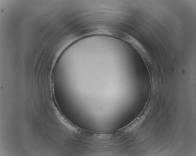 X0000068770808200605011025