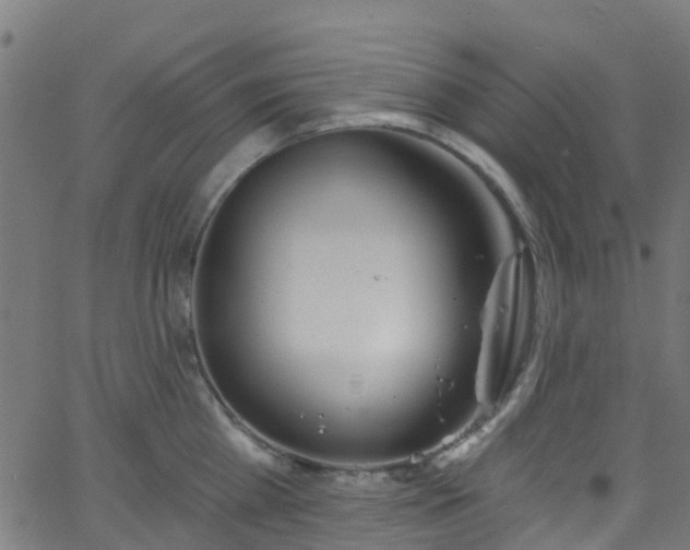 X0000068770809200605011025