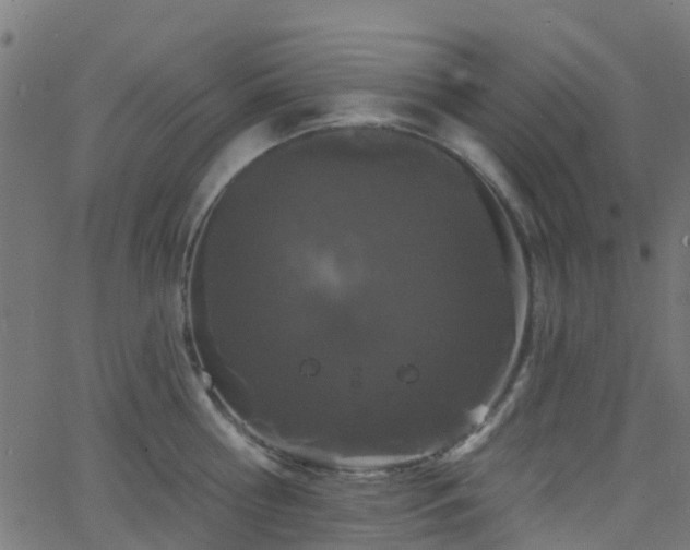 X0000068770810200605011025