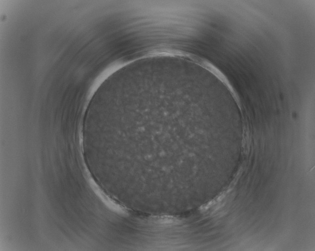 X0000068770811200605011025