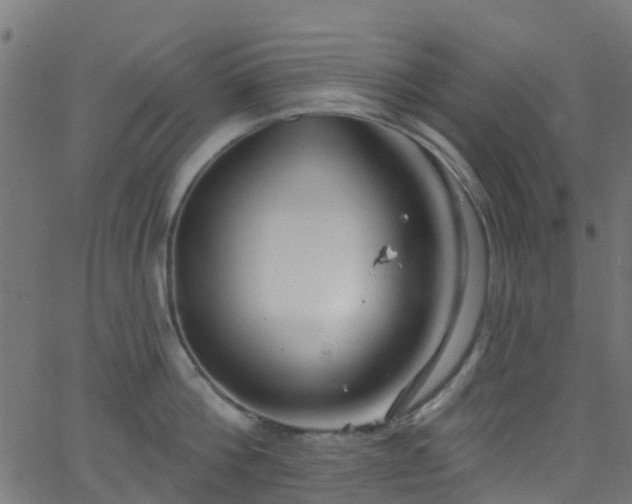 X0000068770812200605011025