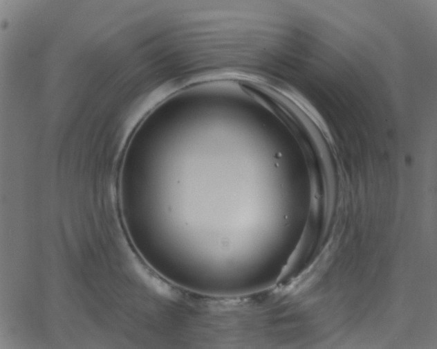 X0000068770813200605011025