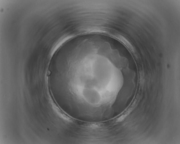 X0000068770814200605011025