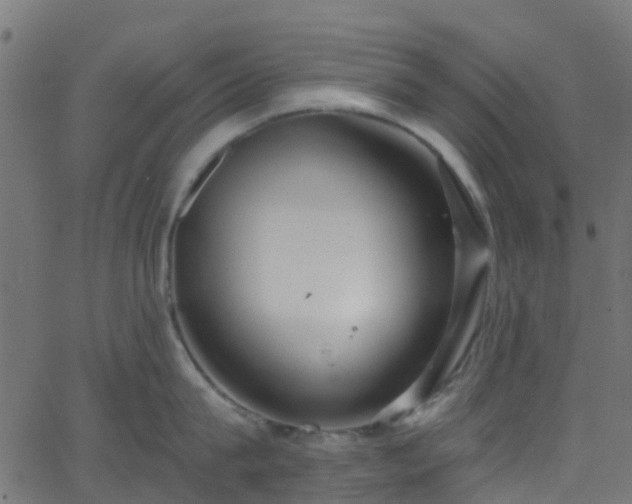 X0000068770815200605011025