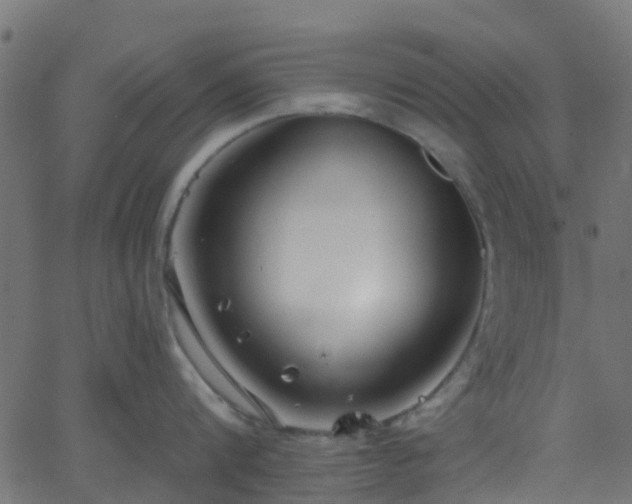 X0000068770816200605011025