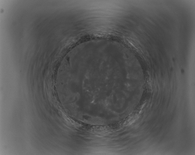 X0000068770817200605011024