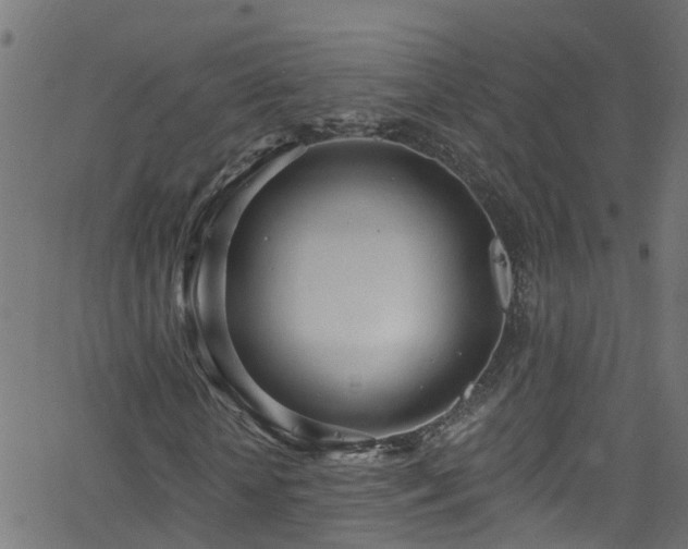 X0000068770818200605011025