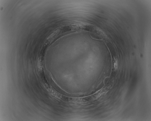 X0000068770819200605011025