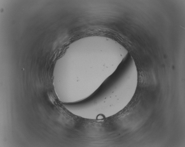 X0000068770820200605011025