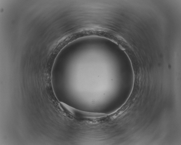 X0000068770822200605011025