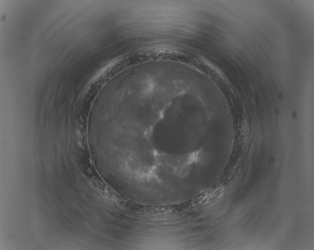 X0000068770823200605011025