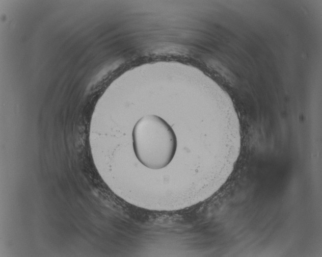 X0000068770824200605011025