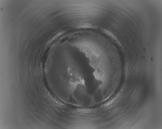 X0000068770825200605011025