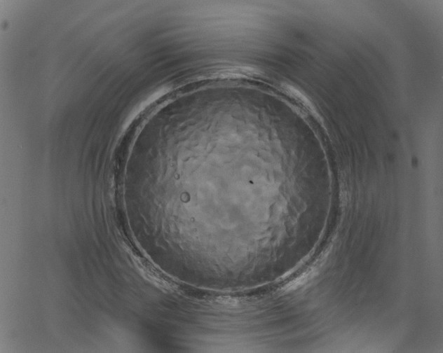 X0000068770827200605011025