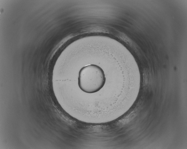 X0000068770828200605011025