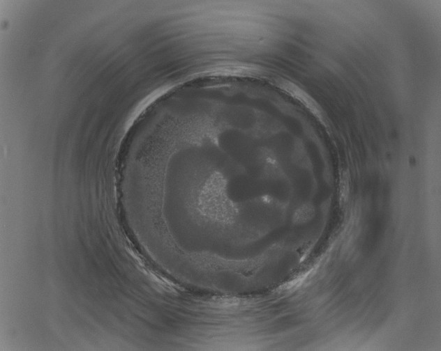 X0000068770829200605011025