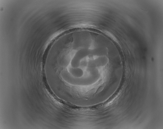 X0000068770831200605011025