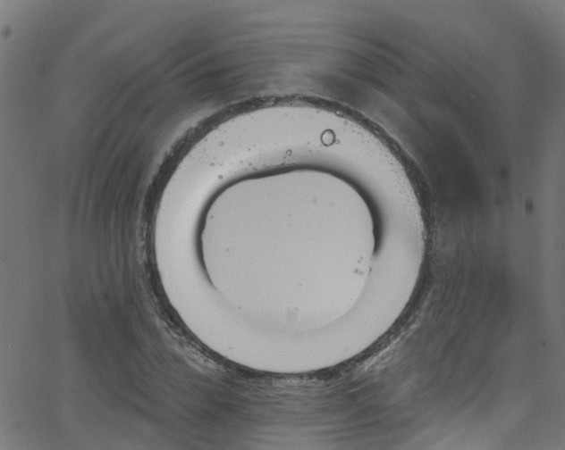 X0000068770832200605011025