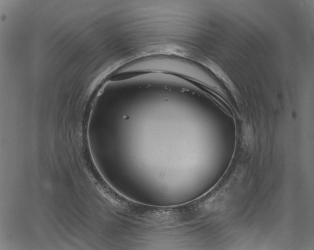 X0000068770834200605011025