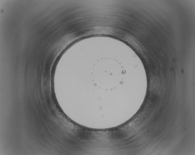 X0000068770836200605011025