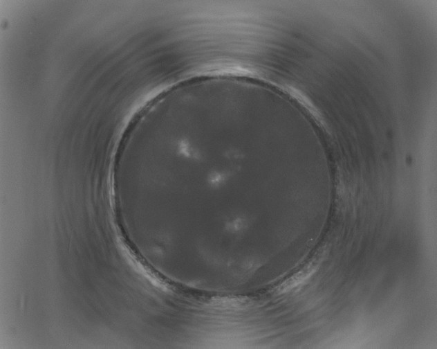 X0000068770840200605011025