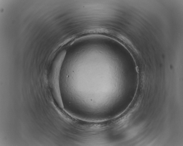 X0000068770841200605011025