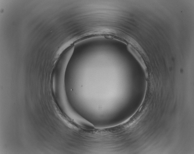 X0000068770842200605011025