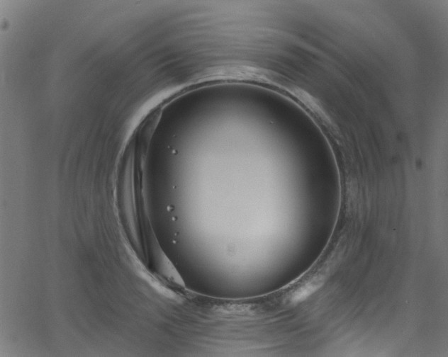 X0000068770846200605011025